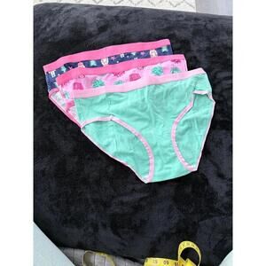 New Without Tags Holiday Time Women’s Bikini Underwear – Size Large– 3 Pack